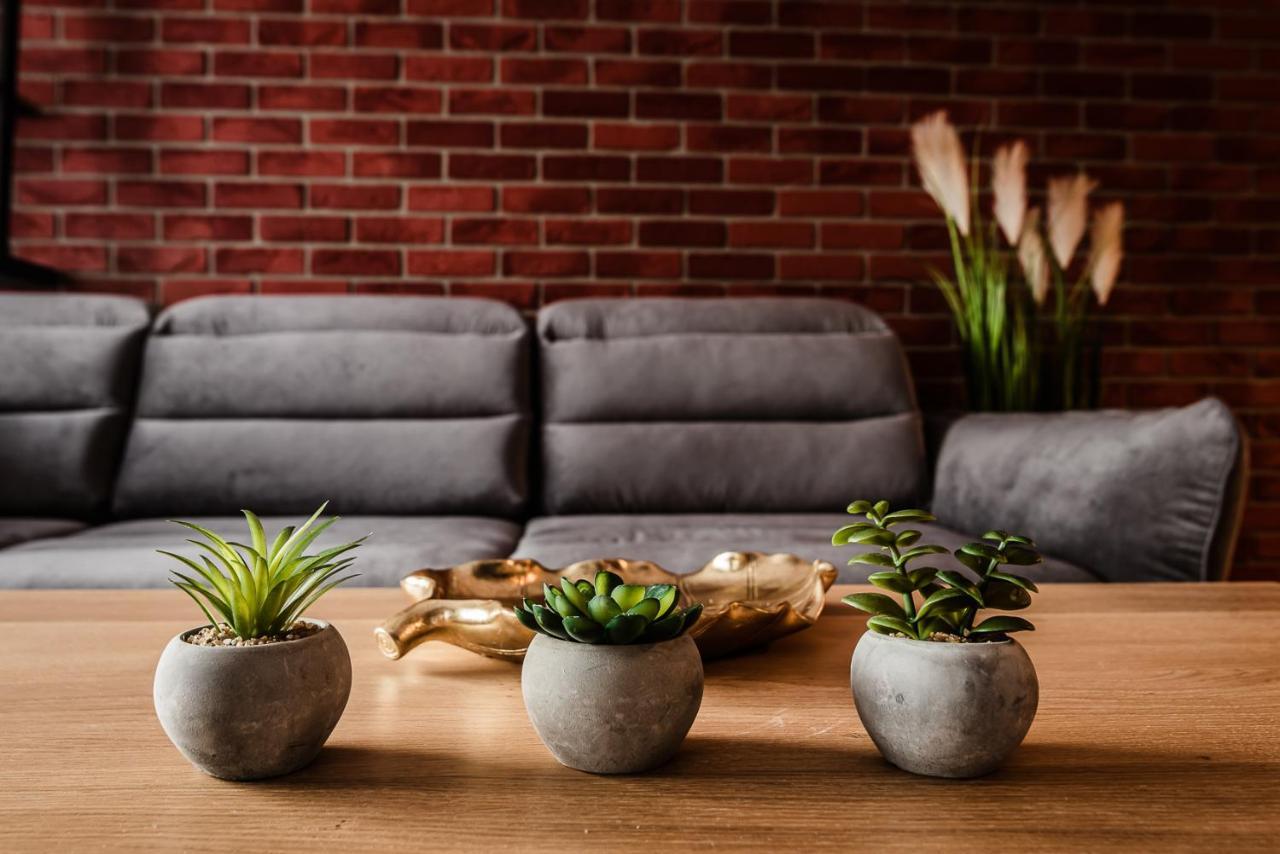Loft Apartament Aleje Wolnosci Nowy Sącz エクステリア 写真